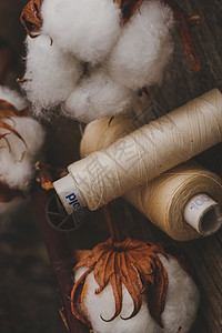 棉花花电影羊毛裁缝木头棉布桌子枝条叶子木板植物图片