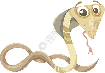 眼镜蛇动物漫画插图快乐卡通片尾巴童话动物园吉祥物微笑爬虫绘画图片