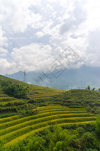 美丽的山景中包含着梯田地风景旅行土地农场成长种植园爬坡场地阳台旅游图片