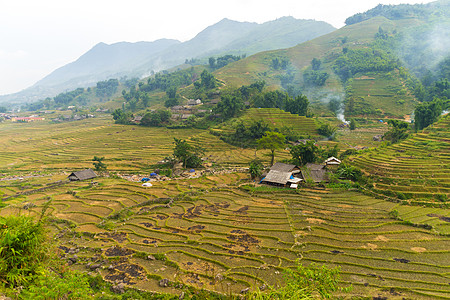 美丽的山景中包含着梯田地地球环境旅游种植园露台农场线条热带成长风景图片