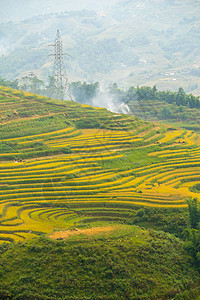 美丽的山景中包含着梯田地露台场地热带旅游植物阳台风景线条土地种植园图片