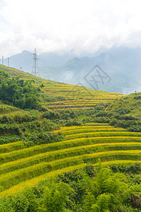 美丽的山景中包含着梯田地种植园风景线条农场环境成长爬坡旅游阳台土地图片