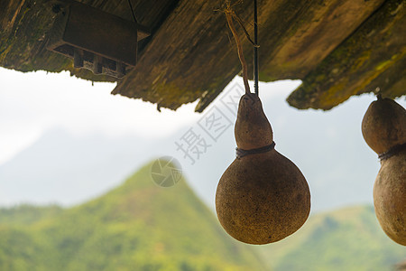 挂在房子天花板上图片