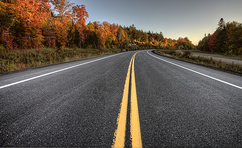 秋季颜色和道路树木树叶红色橙子森林绿色叶子图片