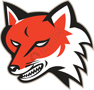 红狐愤怒的头部复古犬类艺术品动物野生动物插图野狗图片