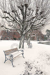 冬季风景黑色木头环境白色天气季节公园情绪长椅场景图片