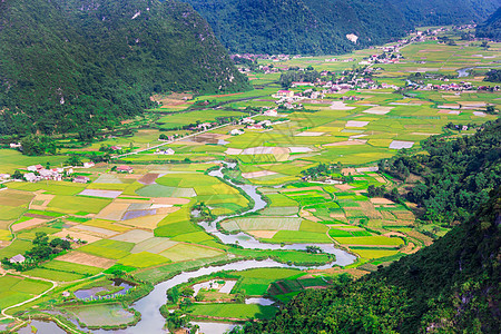 越南Bac Son山谷的稻田阴谋地质学房子风景文化土地环境高原生长地面背景图片