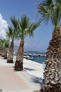 卡尔达梅纳度假胜地和科斯岛港口街道游艇城市码头蓝色渡船天空棕榈地标建筑学图片