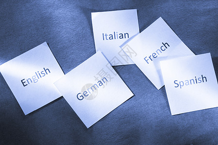 不同语言的卡卡白色标签卡片知识教育棕色蓝色贴纸图片