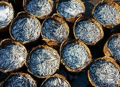 鱼酱类篮子专业市场生产露天钓鱼食物渔业鳀鱼材料印象图片