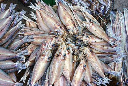 干鱼 海鲜产品 越南食品烘干盐渍盘子季节菜肴空气钓鱼食物小吃渔业图片