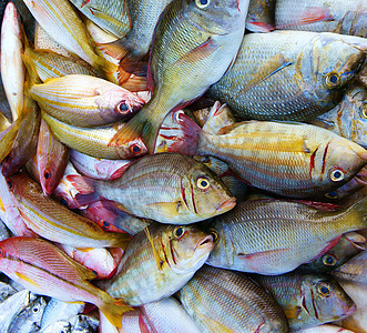新鲜海鲜 越南鱼市场 营养食品展示库存渔业销售产品团体营养食物饮食动物图片