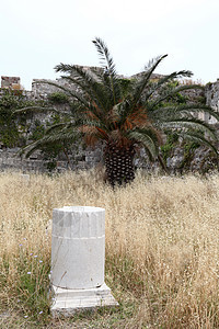 罗得的圣约翰骑士在科斯岛的堡垒柱子文化天空首都地标植物晴天村庄博物馆棕榈图片