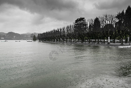 瓦雷斯州安格拉马吉奥雷湖溢出树木下雨水文地质安全湖滨气候变化危险天气自然灾害图片