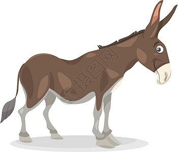有趣的驴子漫画插图棕色家畜农场国家尾巴骡子吉祥物快乐卡通片农村图片