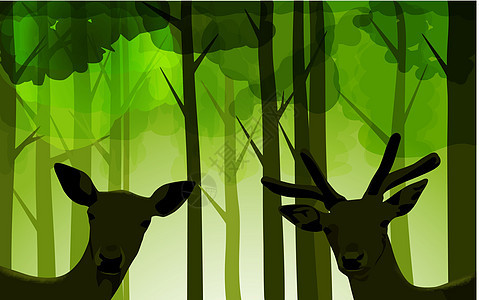森林鹿小牛绿色动物鹿角女性荒野野生动物插图哺乳动物鱼子背景图片