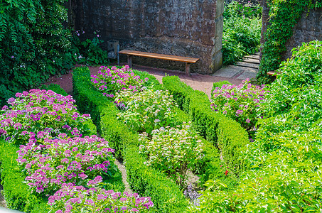 花园 鲜花 花铺 草药草地植物外观建筑学防空洞石头宏观建筑家具博物馆图片