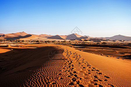 纳米布沙漠中隐藏的Vlei美丽景观旅行干旱太阳沙漠橙子蓝色死亡阴影公园沙丘图片