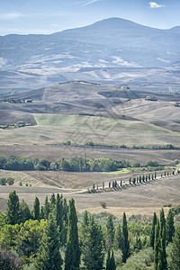 Pienza 景观环境丘陵国家风景旅行爬坡农村草地地平线蓝色图片