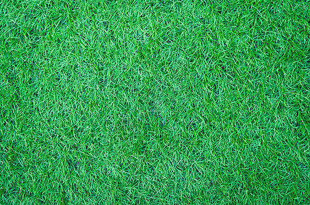 用于背景的人工绿色草质图案生长草皮土地玩家闲暇地毯植物休闲运动足球图片