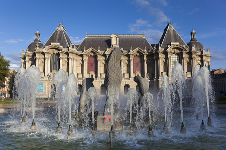 法国北加莱北部里尔美术博物馆 诺尔帕斯德卡莱 法国建筑旅行晴天建筑学历史性艺术博物馆城市历史旅游图片
