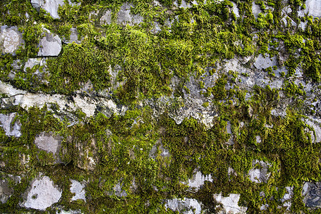 Moss 纹理灰色石头地面地衣摄影街道模具苔藓绿色岩石图片