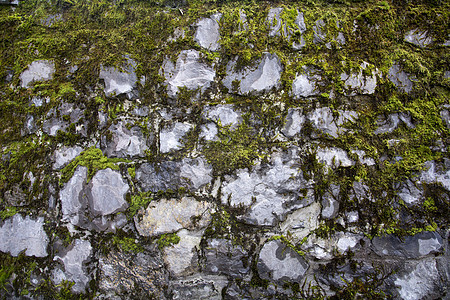 Moss 纹理灰色绿色地衣石头摄影模具苔藓街道地面岩石图片