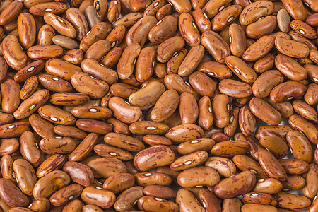红肾豆(Rajma)图片