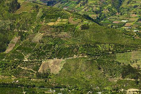 厄瓜多尔Tungurahua省农村景观生长果园房子植被花园食物擦洗场地建筑衬套背景图片
