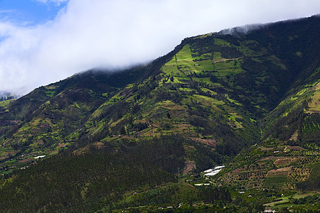 厄瓜多尔Tungurahua省农村景观房子衬套森林农场水果爬坡栽培植物食物场地图片