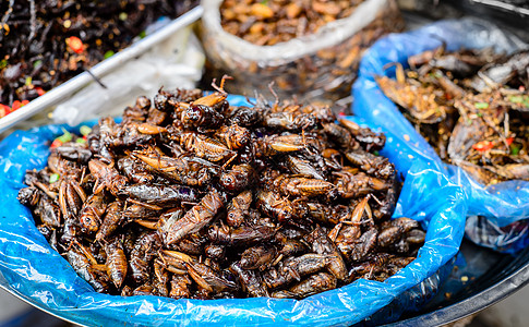 柬埔寨的昆虫食品住民地点市场早餐营养厌恶摊位国家甜点部落图片