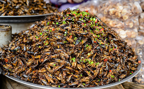 柬埔寨的昆虫食品甜点蟋蟀厌恶美食家背景国家旅行美食手段气候图片