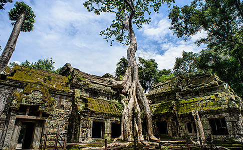 柬埔寨西姆里普Siem Riep考古学苔藓王国发展遗产建筑学旅行田园异国雕塑图片