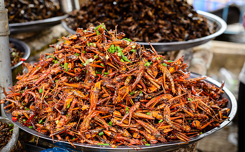 柬埔寨的昆虫食品背景住民旅行美食家美食国家摊位文化蝗虫蚂蚱图片