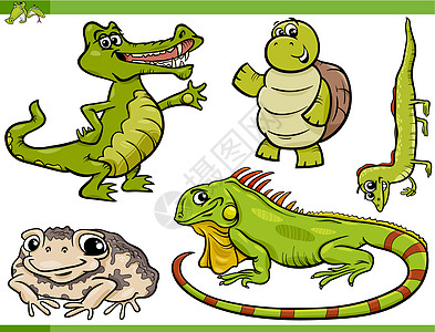 爬行动物和两栖漫画吉祥物青蛙两栖动物插图乌龟野生动物尾巴蜥蜴蟾蜍鬣蜥图片
