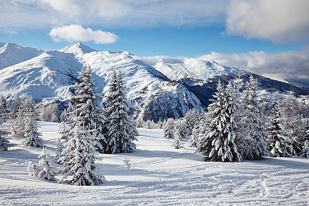 冬季风景高山旅行松树树木辉光环境滑雪土地木头丘陵图片