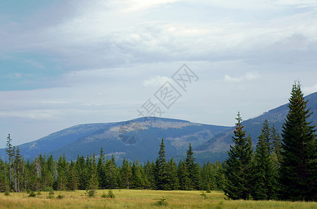 在卡尔科诺采山庄的喜悦中天空植物群山脉森林岩石图片