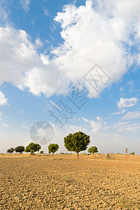 沙漠中耕种的农田面积蓝色晴天国家生态灌木环境植物气候图片
