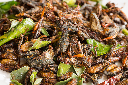 与绿石灰叶混合的可炸食用昆虫美食市场营养蚱蜢情调小吃美味食物盘子漏洞图片