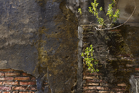 砖力量石头建筑学团队矩形棕色红色水泥石墙水平图片