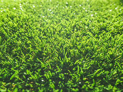 人造草草皮地毯草地绿色图片
