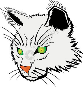 猫脸插图头发猫科白色眼睛毛皮小猫绘画鼻子宠物图片