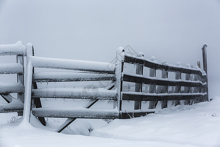 冷冻的Harfrost木制栅栏图片