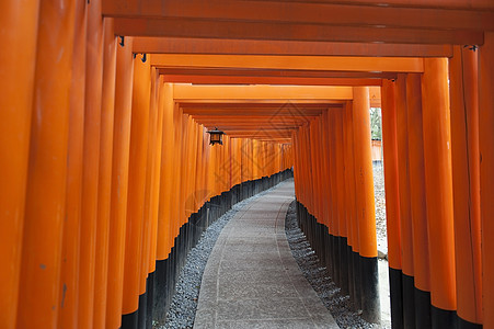 日本的千棵托兰树宗教遗产地标隧道旅行观光途径红色建筑学寺庙图片