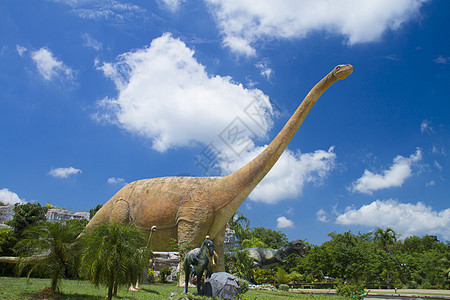 恐龙博物馆灭绝复制品森林怪物展览侏罗纪地形爬虫化石动物图片