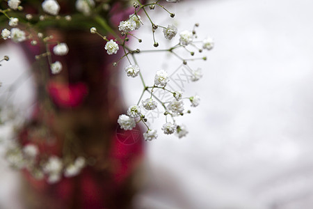 花瓶中的花束展示惊喜礼物洗礼婚姻念日仪式玫瑰糖果新娘图片