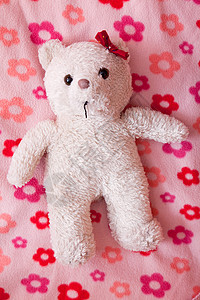 小毛绒泰迪熊玩具童年粉色毛皮动物花朵毯子礼物丝带乐趣图片