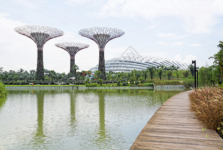 新加坡植物园森林景观建筑港口热带全景圆顶蓝色城市图片