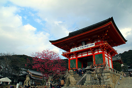 旧日本寺庙森林文化石头建筑旅行小路叶子宗教岩石建筑学图片