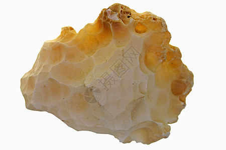 水化珊瑚配对石头化石图片